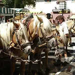 Tranquil In The Centre Of Seefeld