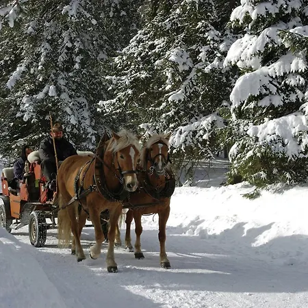 Tranquil In The Centre Of Seefeld * Seefeld in Tirol